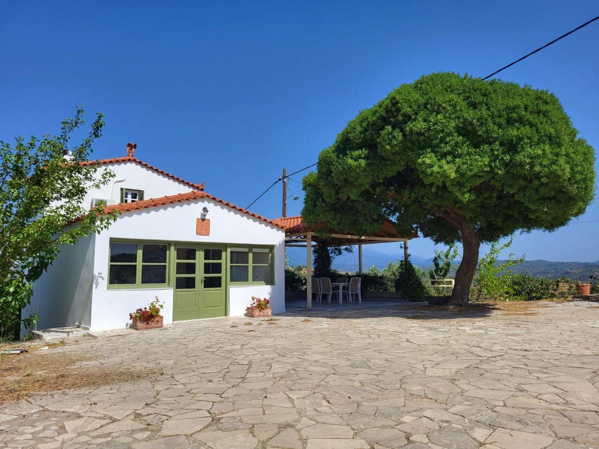 Mani Hill House Ferienhaus Gythio